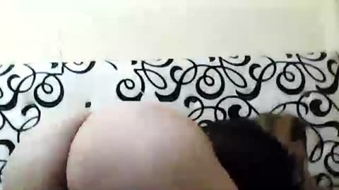 mature_sweet3827 online show from December 6, 2024, 5:53 am