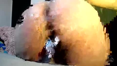 cata online show from December 6, 2024, 5:31 am