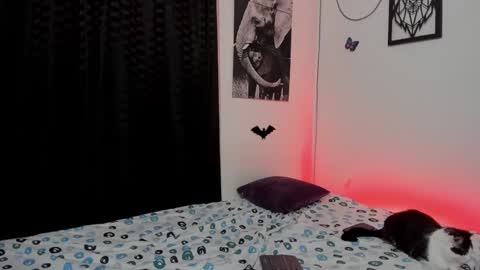 Snapshot of maxi_styles chatting on March 3, 2025, 4:36 am Alex online show from March 3, 2025, 4:36 am