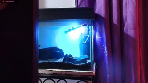 Snapshot of maxianomal chatting on March 9, 2026, 2:04 am Max online show from March 9, 2026, 2:04 am