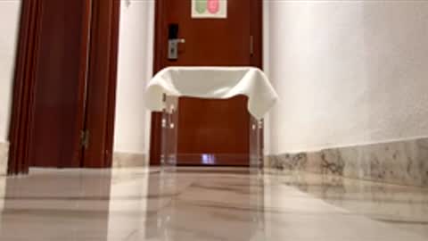 maximo1991 online show from December 14, 2025, 6:19 am