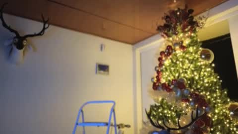 Sebastian online show from December 3, 2024, 11:57 pm