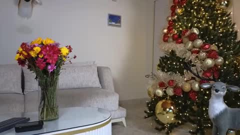 Sebastian online show from December 7, 2024, 1:14 am