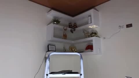 Sebastian online show from December 25, 2024, 4:22 am