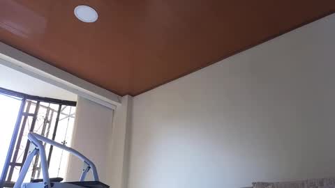 Sebastian online show from January 13, 2025, 3:26 pm