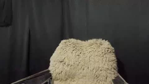 Max online show from January 7, 2025, 11:16 am