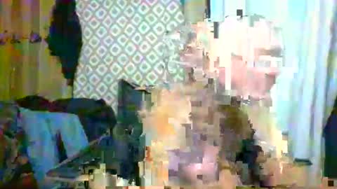 Max online show from February 19, 2025, 8:33 am