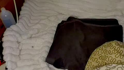 maybeanal online show from October 30, 2025, 2:02 am