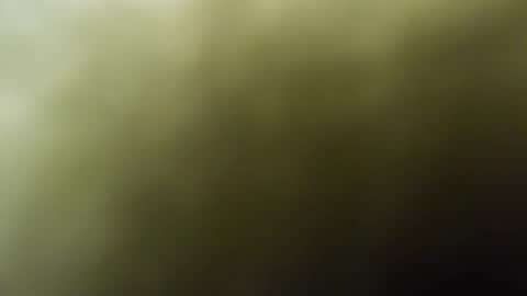 maylee_x online show from February 15, 2025, 12:01 pm