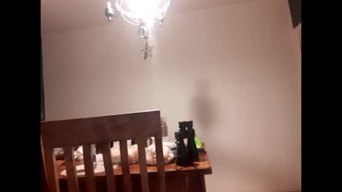 mccock16cm online show from February 16, 2025, 3:47 am