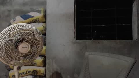 Mcgregor online show from October 22, 2025, 2:56 am