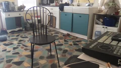 mdman32 online show from February 28, 2025, 3:15 pm