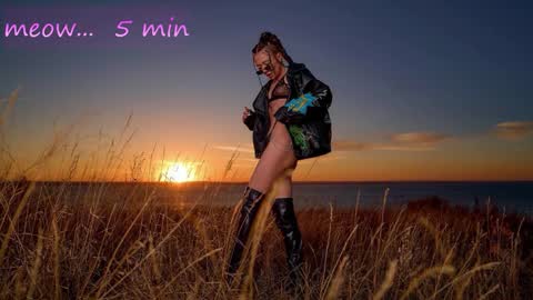 Sweet Meow nonude online show from October 31, 2025, 12:55 am