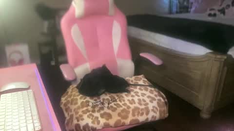 Southern Peach online show from September 27, 2025, 4:17 am