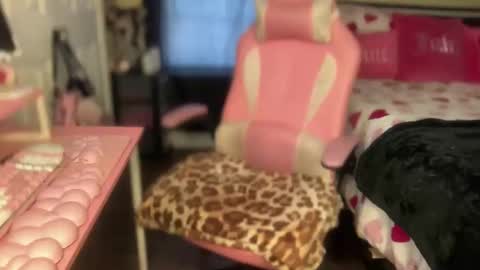 Southern Peach online show from February 6, 2026, 7:50 pm