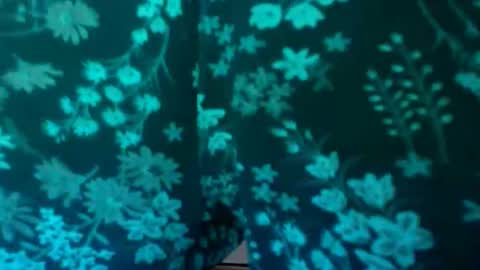 Snapshot of megannixx chatting on November 9, 2025, 10:52 pm megannixx online show from November 9, 2025, 10:52 pm