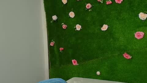 megatitts_ online show from January 6, 2026, 5:38 pm