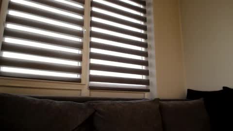 Melania online show from December 21, 2024, 12:38 pm