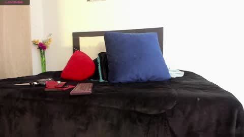 Snapshot of melaniie_roussel chatting on December 22, 2024, 4:06 am melaniie_roussel online show from December 22, 2024, 4:06 am