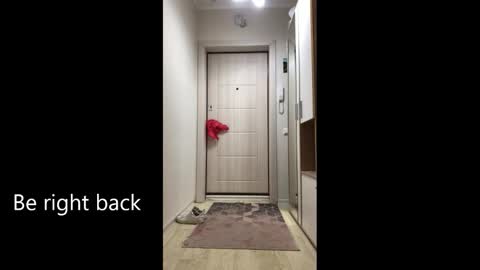 Melina online show from February 25, 2026, 9:08 am