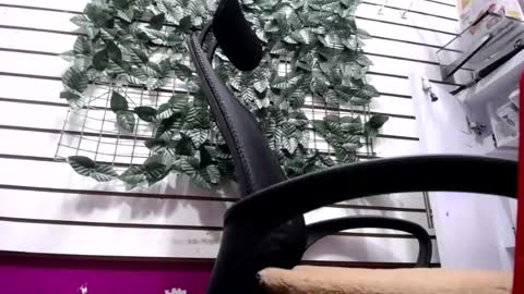 Snapshot of melishanton chatting on May 16, 2026, 4:28 pm melishanton online show from May 16, 2026, 4:28 pm