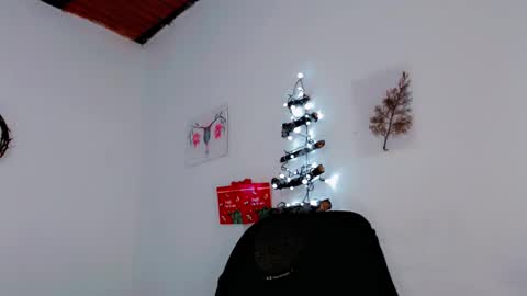  Carol - Dany  online show from December 7, 2024, 6:48 pm