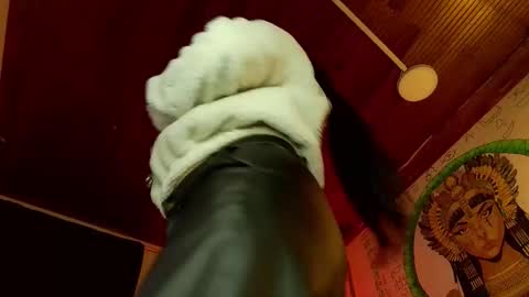 Snapshot of melissa_dolce chatting on January 16, 2026, 10:58 pm michell online show from January 16, 2026, 10:58 pm