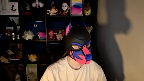 Snapshot of mellpup chatting on June 15, 2026, 11:23 am MellPUP online show from June 15, 2026, 11:23 am