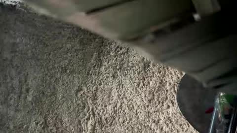 melodysnow online show from January 9, 2026, 12:52 pm