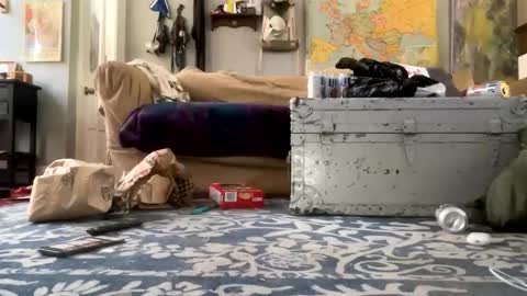 melt13 online show from April 21, 2026, 2:45 pm