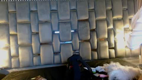 MEMY online show from November 5, 2025, 3:50 am