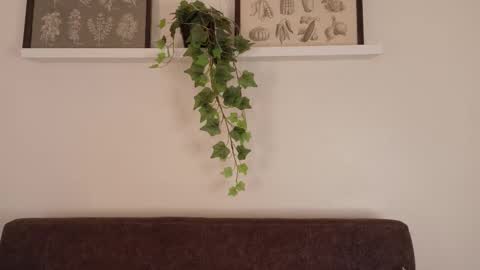 Snapshot of memphiswilliams chatting on February 15, 2026, 12:03 pm Memphis Williams online show from February 15, 2026, 12:03 pm