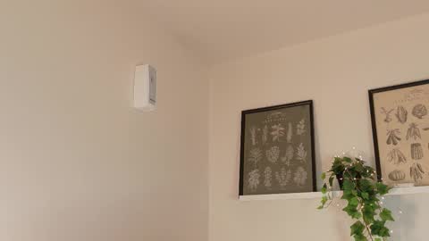 Snapshot of memphiswilliams chatting on February 17, 2026, 4:20 am Memphis Williams online show from February 17, 2026, 4:20 am