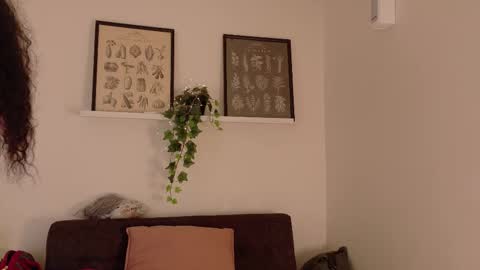 Snapshot of memphiswilliams chatting on February 19, 2026, 2:40 am Memphis Williams online show from February 19, 2026, 2:40 am