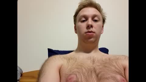 meow732 online show from December 4, 2025, 3:38 am