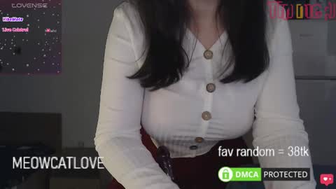 Snapshot of meowcatlove chatting on January 20, 2025, 9:01 pm meowcatlove online show from January 20, 2025, 9:01 pm