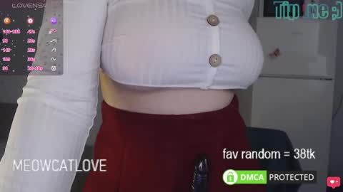 Snapshot of meowcatlove chatting on March 8, 2025, 6:37 pm meowcatlove online show from March 8, 2025, 6:37 pm