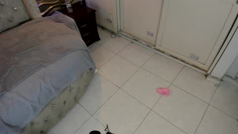 Snapshot of meraki_fraise chatting on January 21, 2025, 1:08 am online show from January 21, 2025, 1:08 am