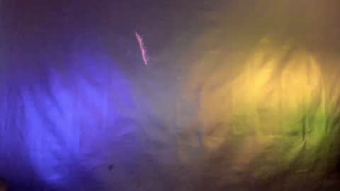 Snapshot of meraki_fraise chatting on January 24, 2025, 7:07 pm online show from January 24, 2025, 7:07 pm