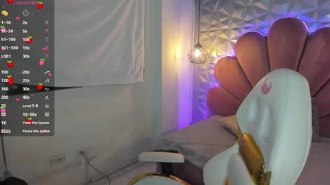 Snapshot of meraki_fraise chatting on February 9, 2025, 6:37 pm online show from February 9, 2025, 6:37 pm