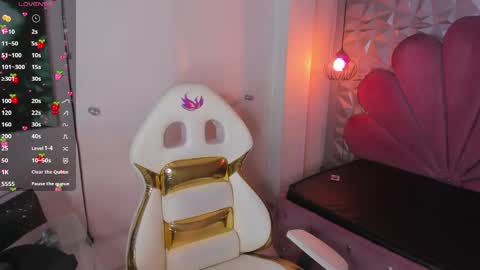 Snapshot of meraki_fraise chatting on February 23, 2025, 10:53 pm online show from February 23, 2025, 10:53 pm