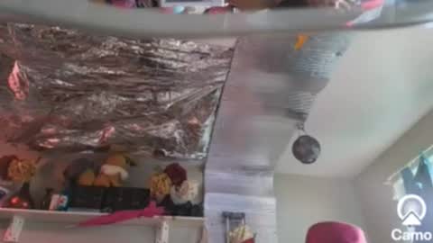 gurlnips online show from December 26, 2024, 9:04 pm