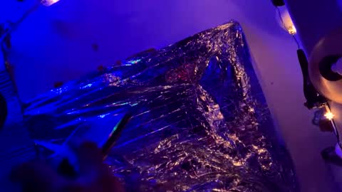 gurlnips online show from February 9, 2025, 3:56 pm