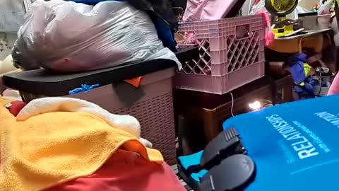 gurlnips online show from February 26, 2025, 7:09 am