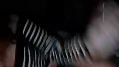 mermaidonland25 online show from October 5, 2025, 11:35 pm