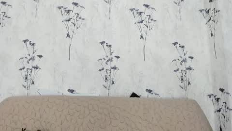 Mia  online show from January 10, 2025, 3:06 pm