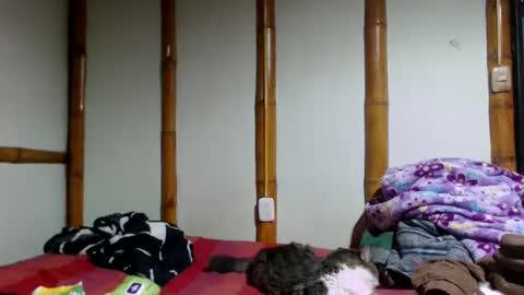 Snapshot of miahells chatting on April 19, 2026, 5:12 pm Mia Sam online show from April 19, 2026, 5:12 pm