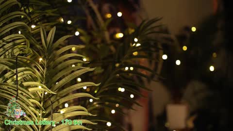 ask online show from December 27, 2024, 1:22 am