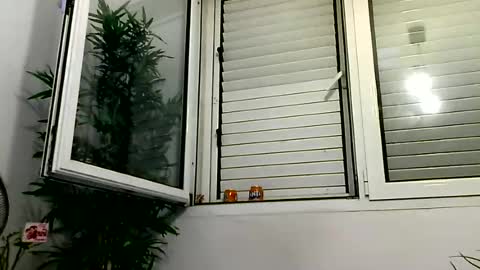 MILO MIAMI online show from June 28, 2026, 12:27 am