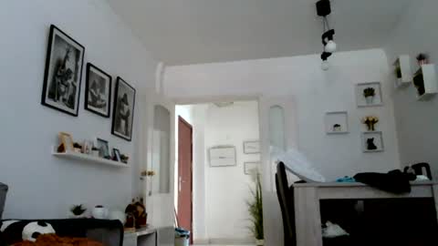 MILO MIAMI online show from July 14, 2026, 5:18 pm